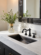 Bathroom sink with black faucet and decorative mirror, featuring a vase with greenery.